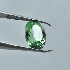 Natural Very Beautiful Bluish Green Sapphire 8.55 Carat Oval Shape Bluish Green Montana Sapphire Certified Gemstone