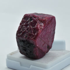 Natural Pigeon Blood Red Ruby Rough 250.52 Ct Certified Uncut Raw Rough Loose Gemstone Best Offer Raw Big Chunk Rough Gems From Africa With Excellent Shipping